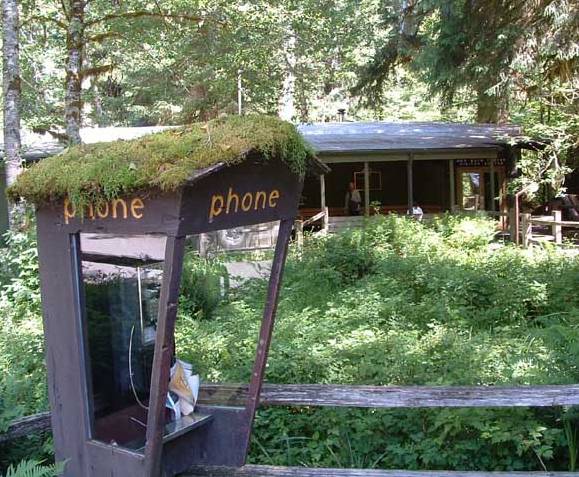 phone booth in Hoh Rain Forest