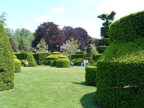 Manicured bushes at Longwood Gardens