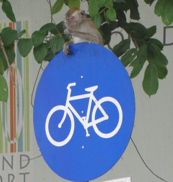 photo of a monkey sitting on a bike sign in Penang