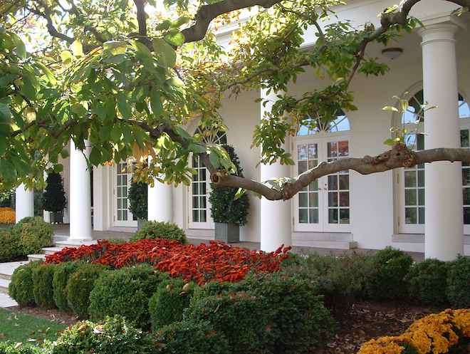 Photo of White House Rose Garden with the Oval Office in the background. 