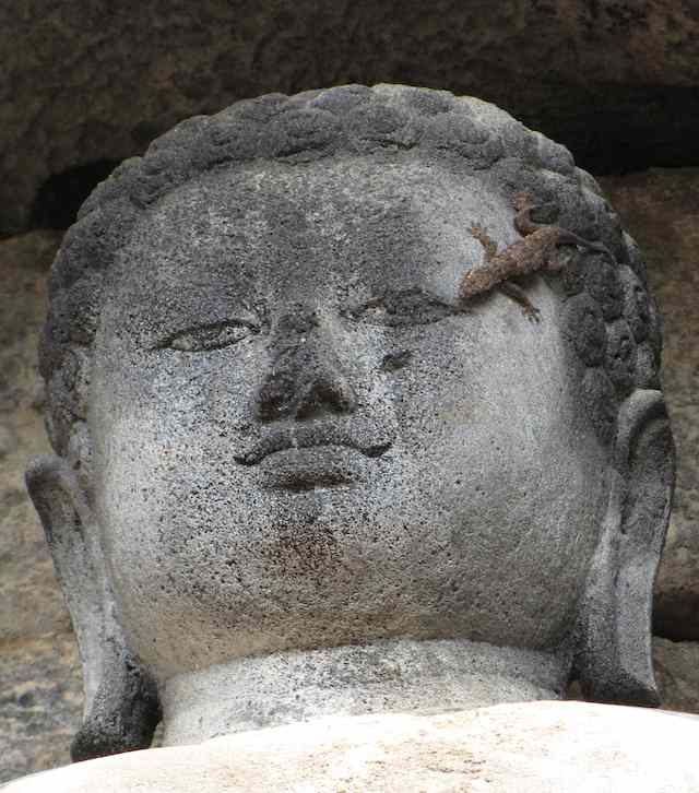photo of a Buddha statue with a lizard crawling on the face