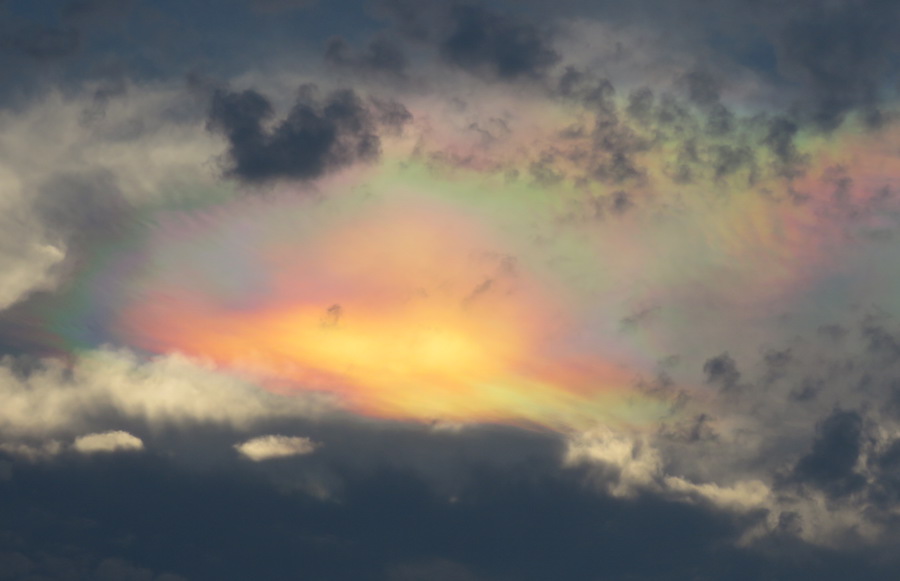 photo of a Fire rainbow